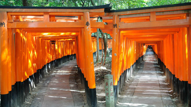 inicio de los caminos bajo los torii en el fushimi inari taisha kyoto
