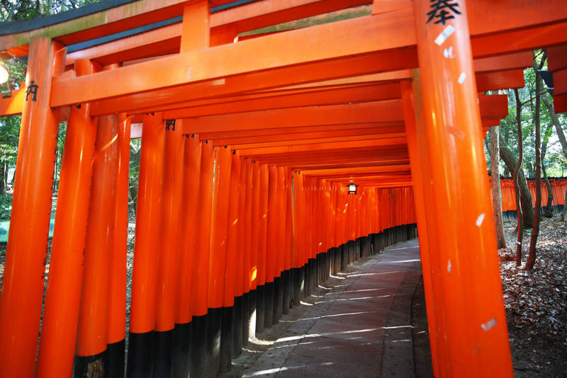 bajo los torii fushimi inari taisha kyoto